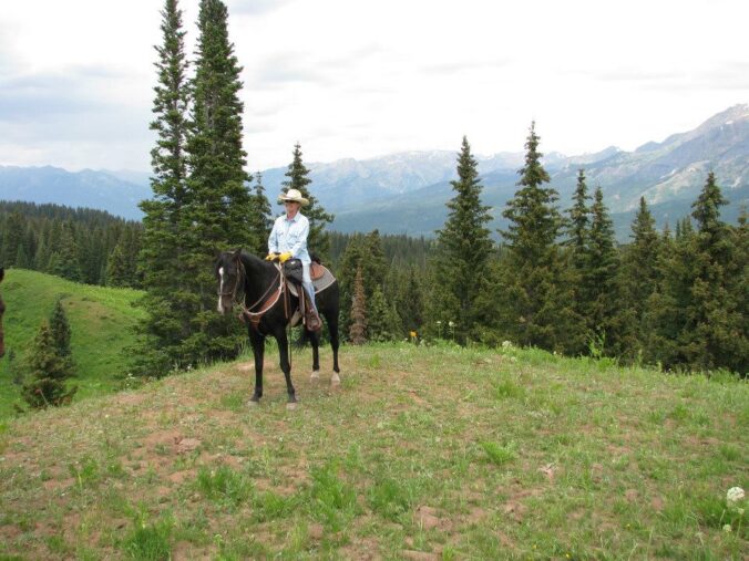 mindfulness coach, horse experience, equine experience, life coach, retreat, workshop with horses, team building