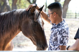 mindfulness coach, horse experience, equine experience, life coach, retreat, workshop with horses, team building